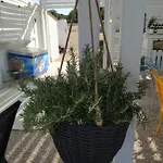 On The - Buqez Eco Holiday home *